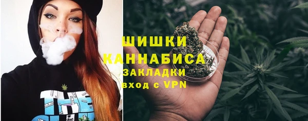 гидра Белокуриха
