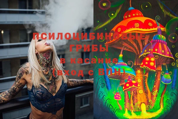 винт Беломорск